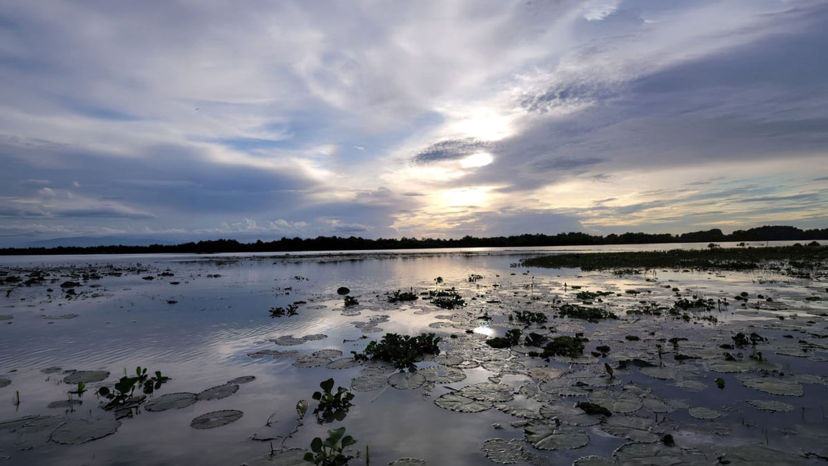 Songkhla: crossroads of the world